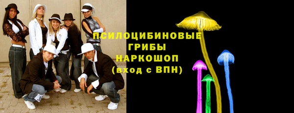 сатива Аркадак