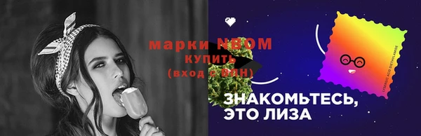 сатива Аркадак