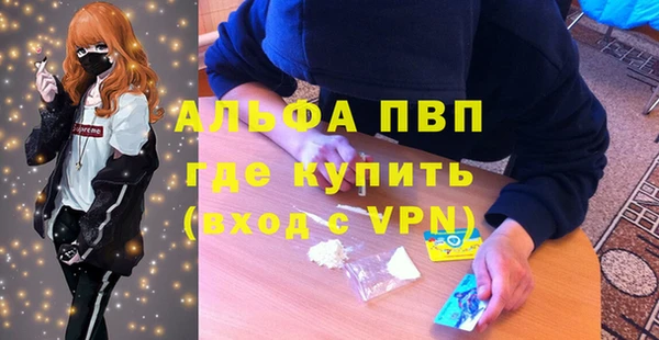 сатива Аркадак