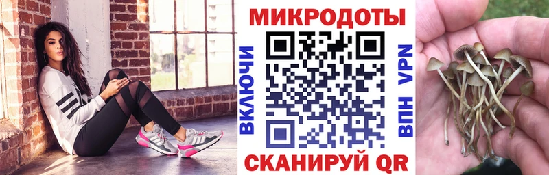 Галлюциногенные грибы прущие грибы  Валдай 